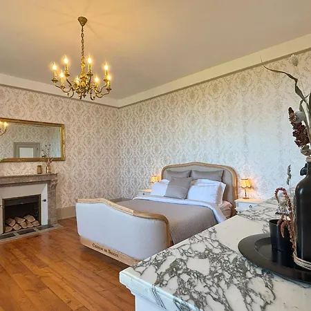 Bed and breakfast Chateau De Bruges Lapeyrouse